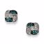 QE10771 White Night Sterling Silver Blue & White Diamond Square Post Earrings