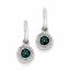 QE10732 White Night Sterling Silver Blue and White Diamond  Post Earrings