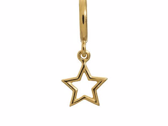 53204 Star Gold