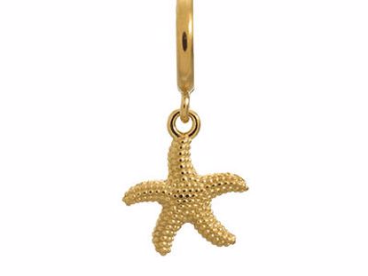 53250 Starfish Gold