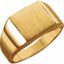 9602:128011:P 14kt Yellow 12mm Men's Signet Ring with Brush Finish