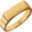 9468:162122:P 14kt Yellow 15x6mm Men's Signet Ring