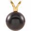 61620:251722:P 14kt Yellow 8mm Black Akoya Pearl Pendant