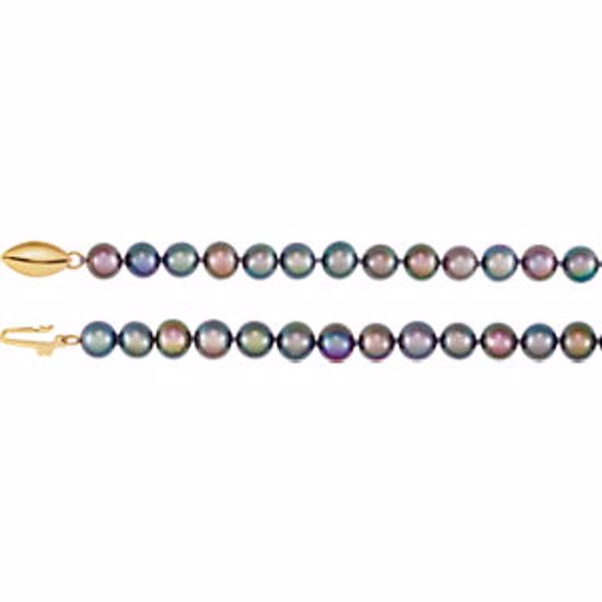 61654:253326:P 14kt Yellow Freshwater Cultured Black Pearl 20" Necklace