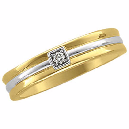 63978:60268:P 14kt Two-Tone .05 CTW Diamond Ladies Duo Band