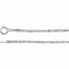 CH765:100002:P 14kt White 1.75mm Sparkling Singapore 7.5" Chain
