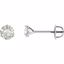 64846:291293:P Charles & Colvard Moissanite® 3-Prong Threaded Post Stud Earrings
