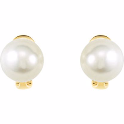 64851:100500:P 14kt Yellow 14mm Full Button South Sea Cultured Fashion Pearl Earrings