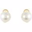 64817:100110:P 18kt Yellow 13mm Near Round South Sea Cultured Fashion Pearl Earrings