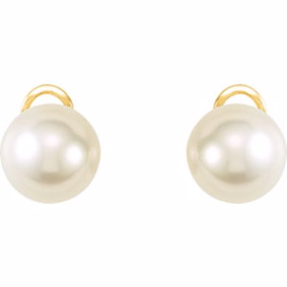 64817:100120:P 18kt Yellow 14mm Near Round South Sea Cultured Fashion Pearl Earrings