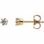 62864:2798100:P 1/5 CTW Diamond Friction Post Stud Earrings