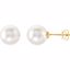 62958:2939560:P 14kt Yellow 13mm Near Round South Sea Cultured Fashion Pearl Earrings