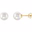62957:2939470:P 14kt Yellow 12mm Near Round Fine South Sea Pearl Earrings