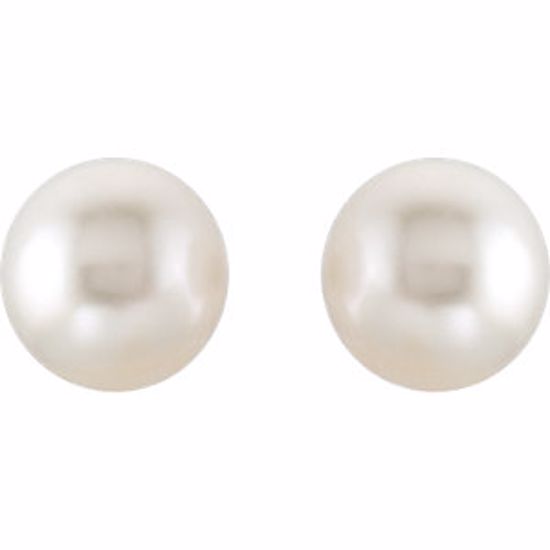 62955:2939370:P 18kt Yellow 15mm South Sea Cultured Pearl Earrings 