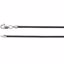 CH613:2988814:P 14kt White 1.5mm Black Leather 7" Cord