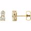 65784:60004:P Charles & Colvard Moissanite® Two-Stone Earrings