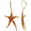 67117:60001:P 14kt Yellow Madeira Citrine, Citrine & Lime Quartz Starfish Earrings