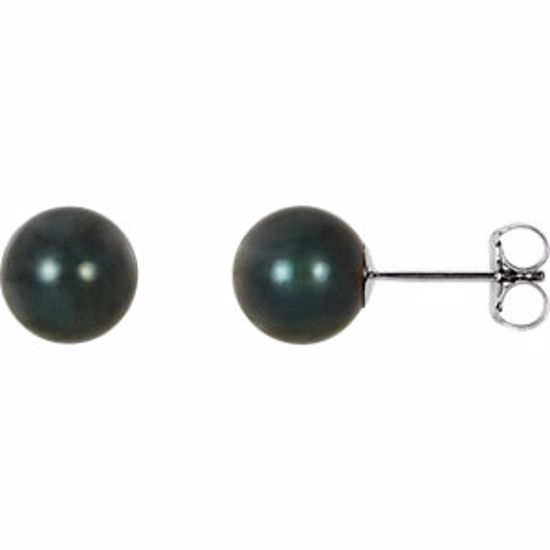 61104:104:P 14kt White 7mm Black Akoya Cultured Pearl Earrings