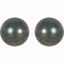 67430:100:P 14kt Palladium White 8mm Round Tahitian Cultured Pearl Earrings
