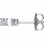 67541:104:P 1/5 CTW Diamond Friction Post Stud Earring