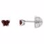 192015:224:P 10kt White January Bfly® CZ Birthstone Youth Earrings with Safety Backs & Box