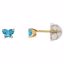 192015:211:P 10kt Yellow December Bfly® CZ Birthstone Youth Earrings with Safety Backs & Box