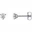 66233:60012:P 14kt White 1/3 CTW Diamond Stud Earrings