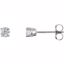 1874:60005:P 14kt White 1/3 CTW Diamond Earrings