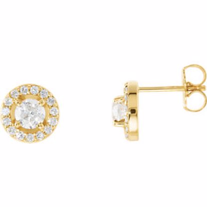 28308:60006:P 14kt Yellow 3/8 CTW Diamond Halo-Styled Earrings
