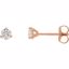 66233:60069:P 14kt Rose 1/3 CTW Diamond Stud Earrings