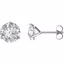 65782:60033:P 14kt White 7.5mm Round Forever Brilliant® Moissanite Earrings