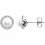 651302:70001:P 14kt White Freshwater Cultured Pearl & 1/8 CTW Diamond Earrings