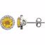 651302:70006:P 14kt White Citrine & 1/8 CTW Diamond Earrings
