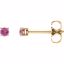 1874:70029:P 14kt Yellow 2.5mm Round Pink Sapphire Earrings