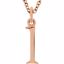 85780:70035:P 14kt Rose "l" Lowercase Initial 16" Necklace