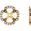 85761:60002:P 14kt Yellow 1/5 CTW Diamond Earring Jackets