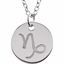 85856:1019:P 14kt White Capricorn Zodiac Necklace