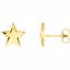 85884:101:P 14kt White Star Earrings