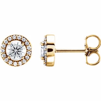 85912:100:P 14kt Yellow 1/2 CTW Diamond Halo-Style Earrings