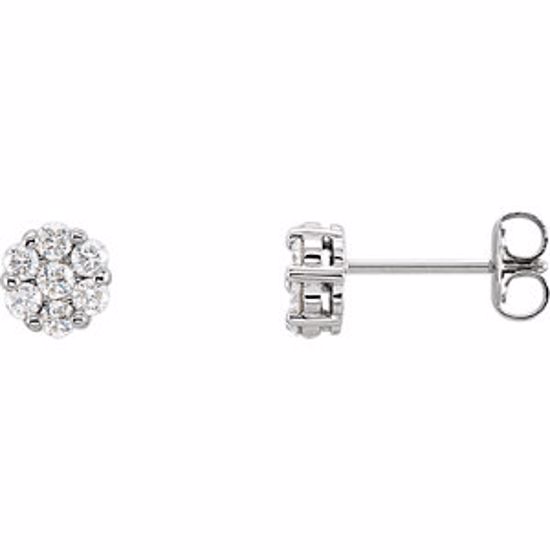 651471:60004:P 14kt White 1/2 CTW Diamond Cluster Earrings