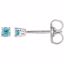 1874:70126:P 14kt White 2.5mm Round Blue Zircon Earrings