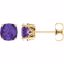 28190:70050:P 14kt Yellow Amethyst Earrings