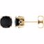 28190:70056:P 14kt Yellow Onyx Earrings
