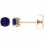 28190:70070:P 14kt Yellow Chatham® Created Blue Sapphire Earrings