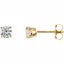 1874:60059:P 14kt Yellow 1/2 CTW Diamond Earrings