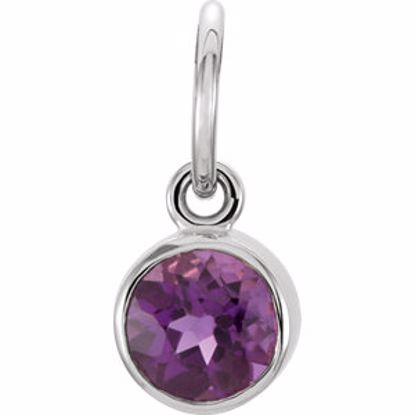 86179:103:P 14kt White Imitation Amethyst Birthstone Charm
