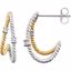 651911:60000:P 14kt White & 14kt Yellow Gold Plated 1/10 CTW Diamond Earrings