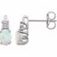 651536:113:P 14kt White Created Opal & .02 CTW Diamond Earrings