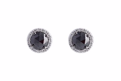 M239-43187_W M239-43187_W - 14KT Gold Earrings