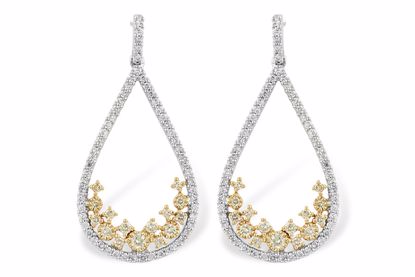 H242-16823_TR H242-16823_TR - 14KT Gold Earrings